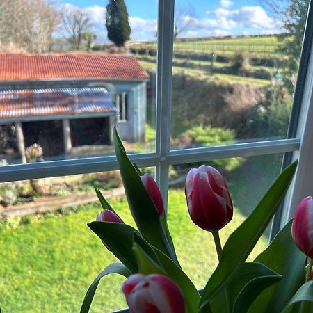 Vila Cargibbitt Annexe Liskeard Exteriér fotografie