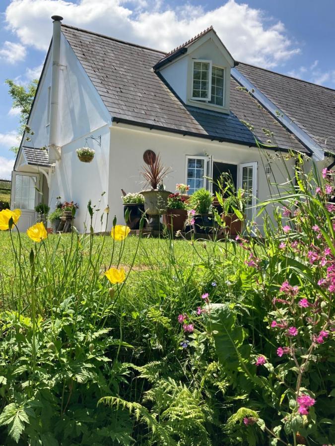 Vila Cargibbitt Annexe Liskeard Exteriér fotografie