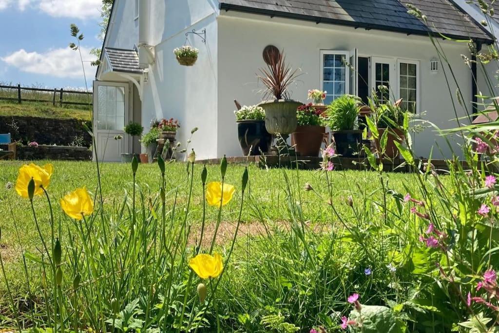Vila Cargibbitt Annexe Liskeard Exteriér fotografie