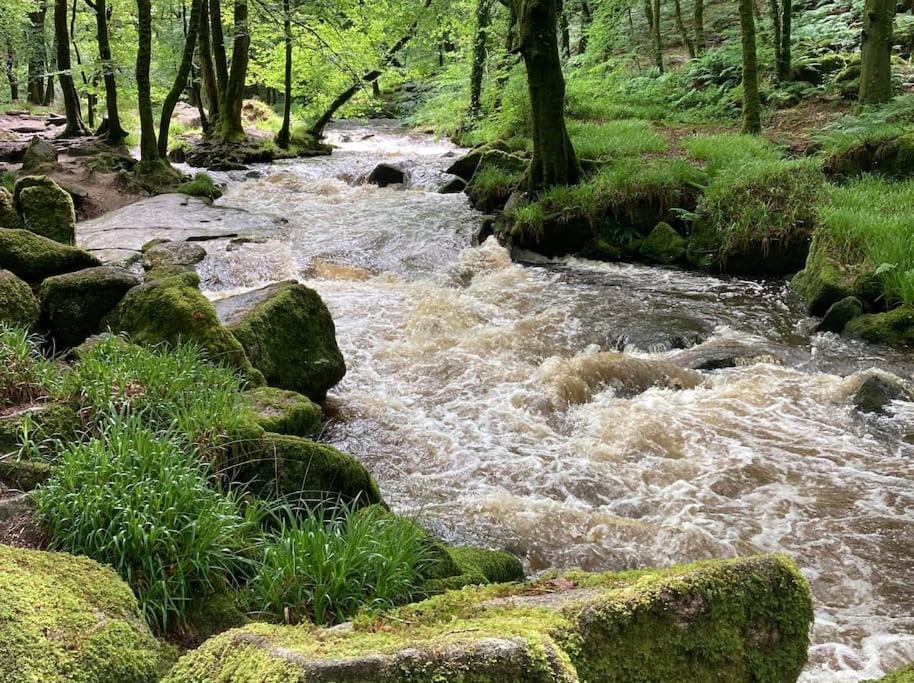 Vila Cargibbitt Annexe Liskeard Exteriér fotografie