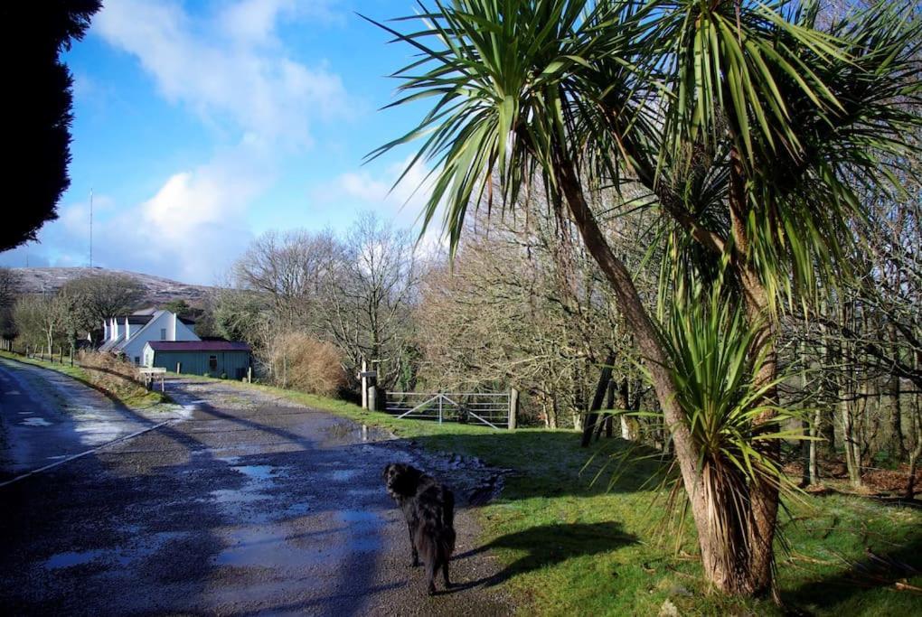 Vila Cargibbitt Annexe Liskeard Exteriér fotografie