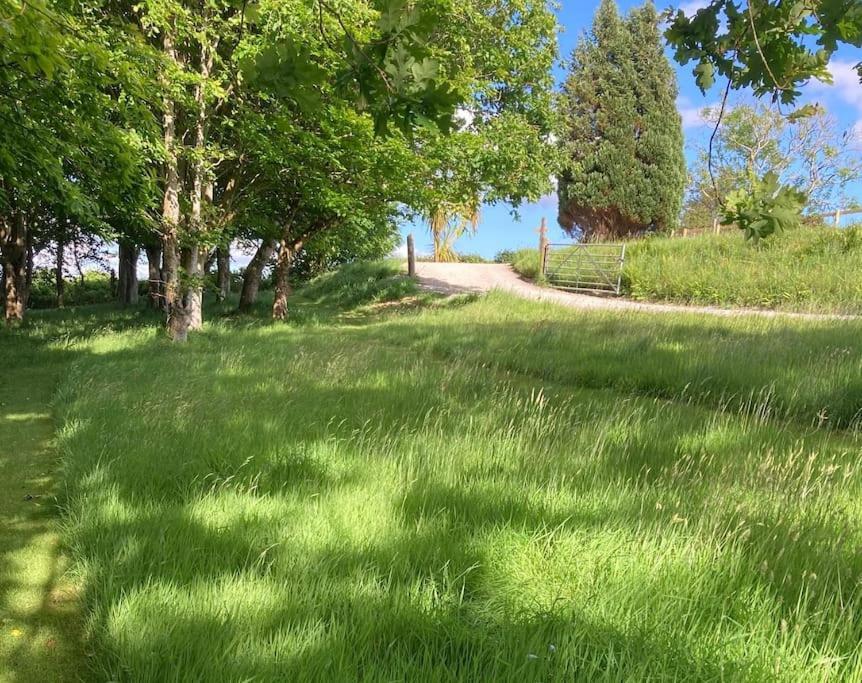 Vila Cargibbitt Annexe Liskeard Exteriér fotografie