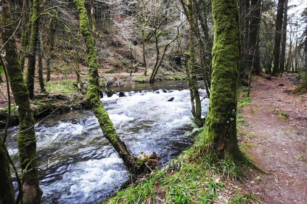 Vila Cargibbitt Annexe Liskeard Exteriér fotografie