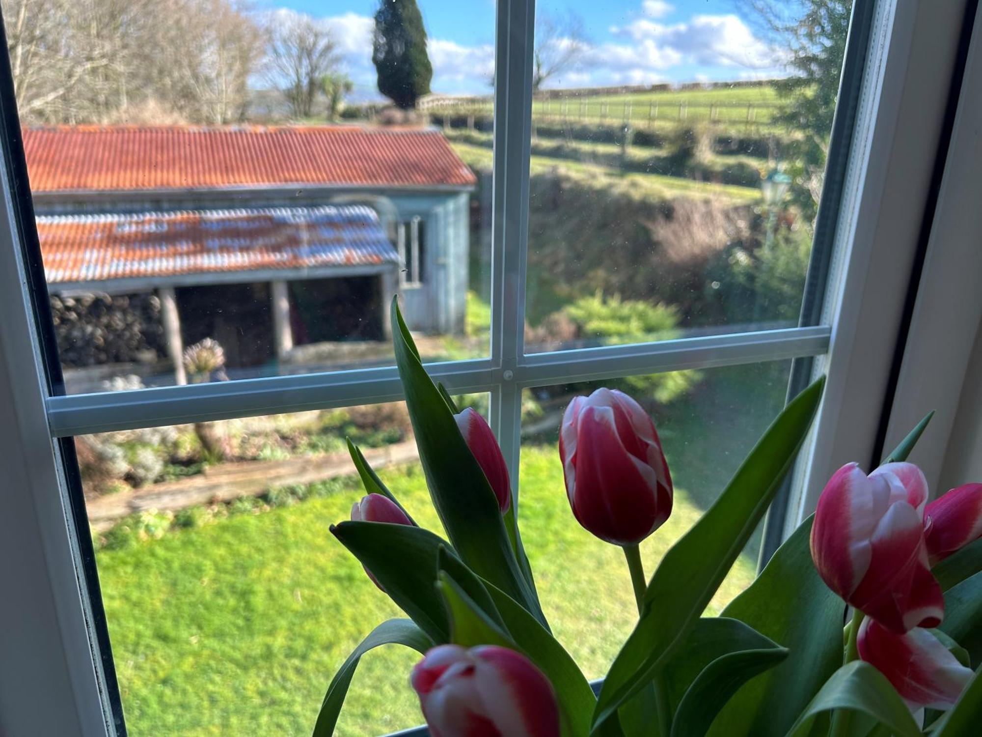 Vila Cargibbitt Annexe Liskeard Exteriér fotografie